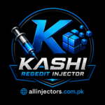 Kashi Regedit Injector