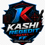 Kashi Regedit Panel FF